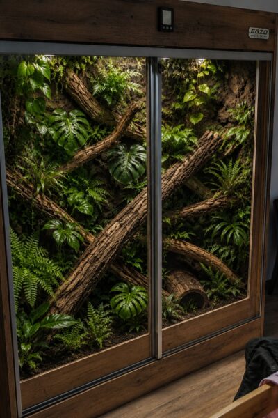 Terrarium 60×60×120 cm dla kameleona legwana węża pytona agamy