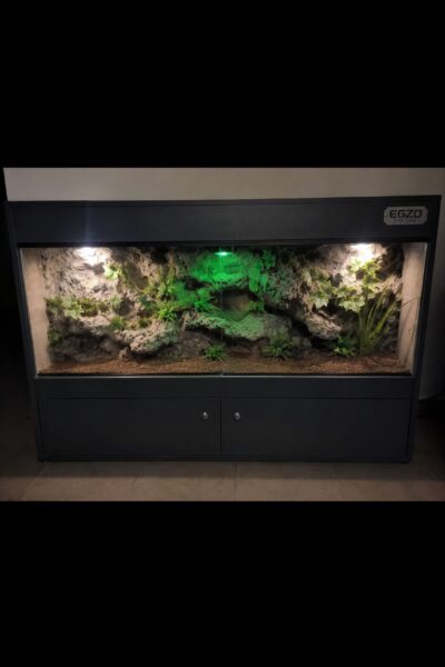 Terrarium 100×50×50 cm dla agamy gekona żółwia węża kameleona